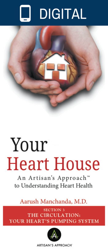 The Circulation: Your Heart's Pumping System-Artisan's Approach to Precision Medicine